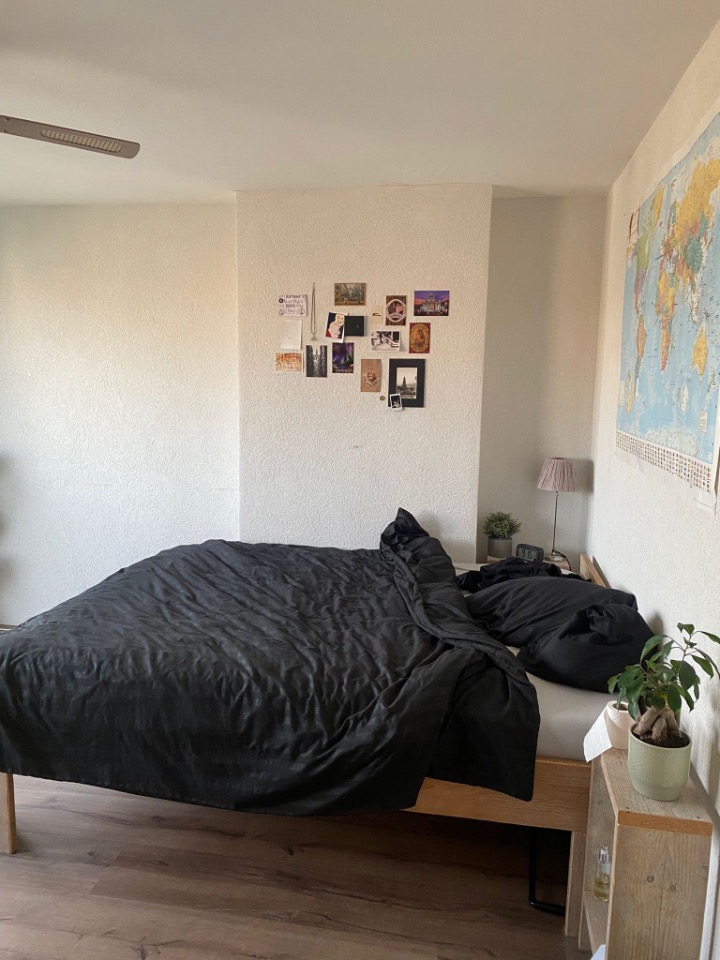 ROOM FOR RENT _ APRIL-AUGUST - Schieweg 36D