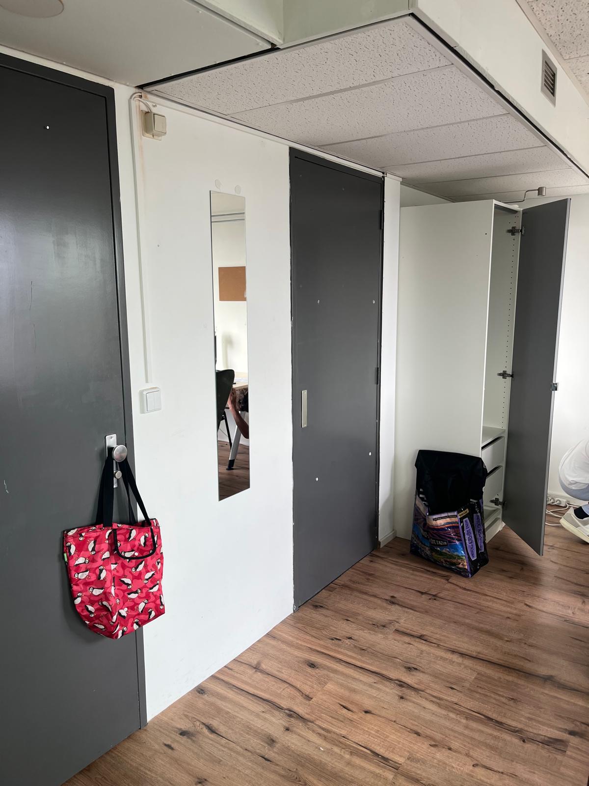 Spacious Student Room in Delft