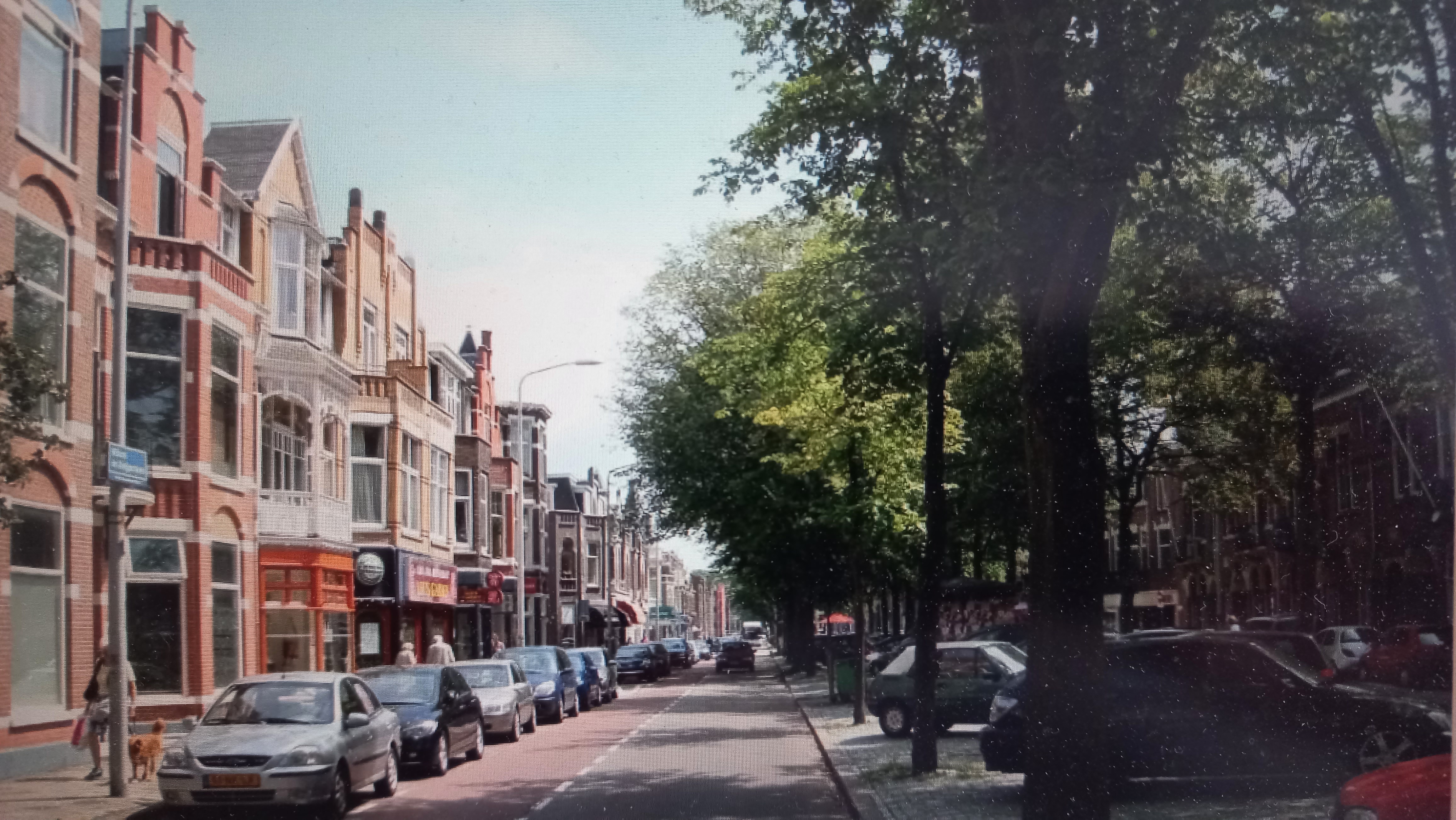 Kamer te huur voor een werkende dame