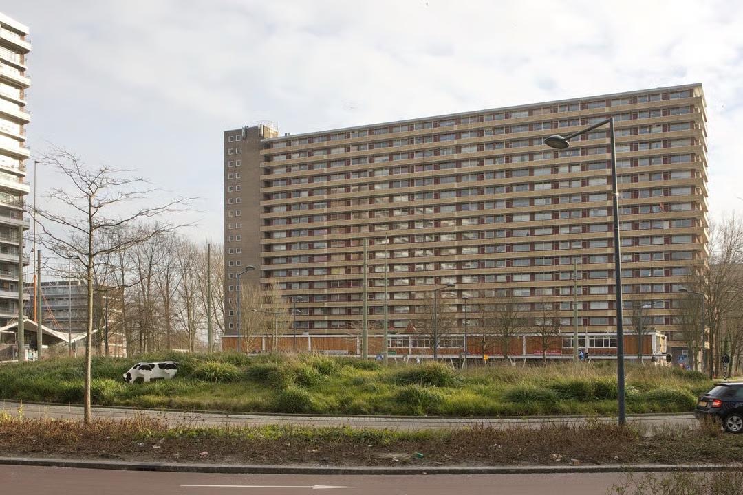 Huisgenootje gezocht vanaf 1 mei