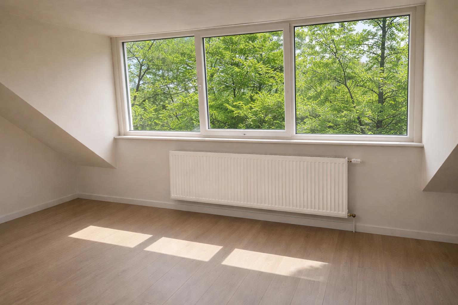 🏡 Huisgenoot gezocht (kattenliefhebber 🐱) - Flakkeesestraat 85C