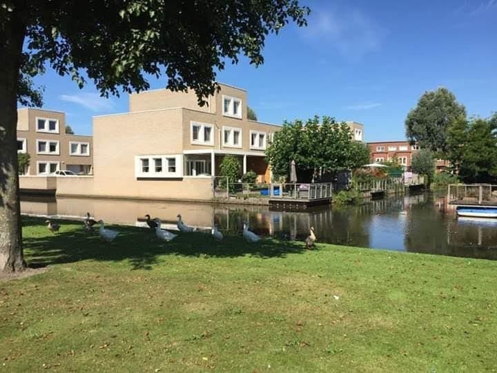 Kamer Jef Laststraat, Rotterdam
