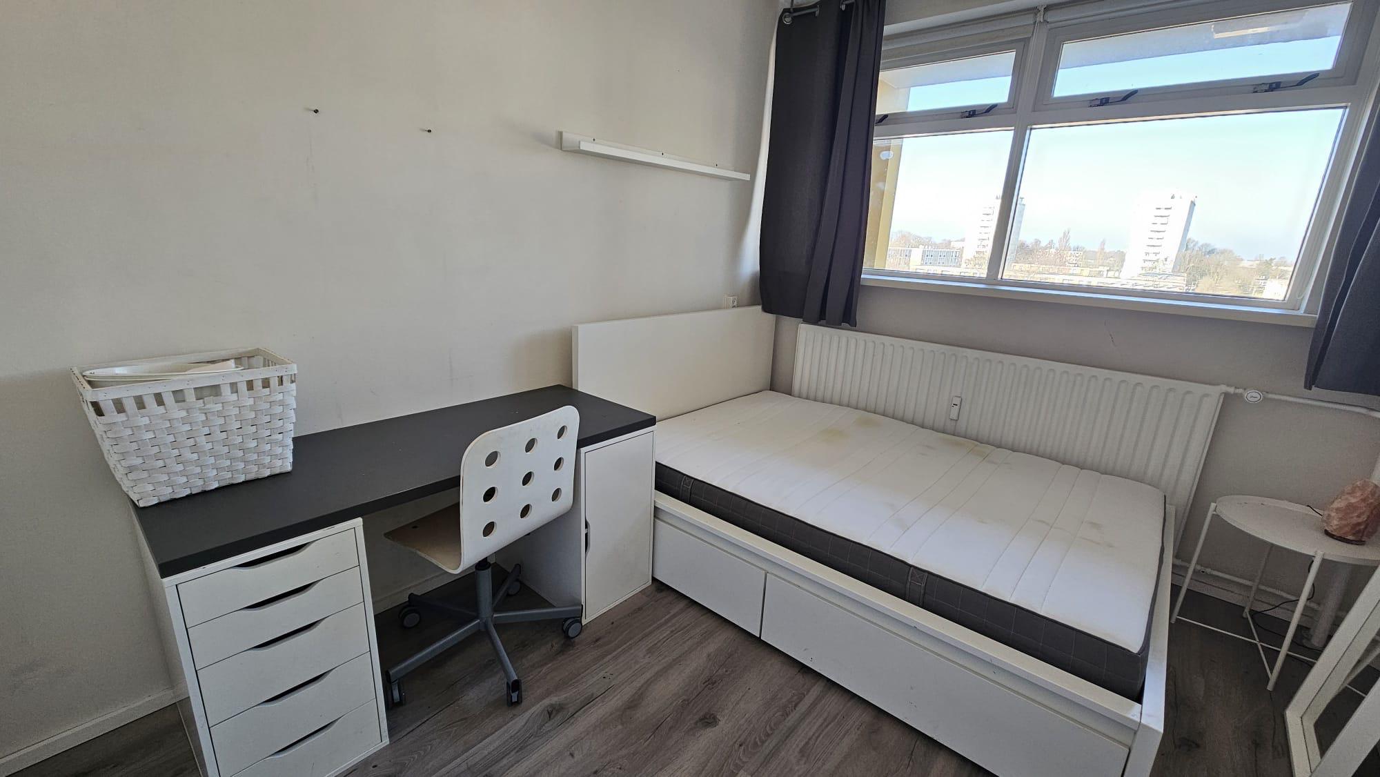 Looking for a roommate in the Hague!