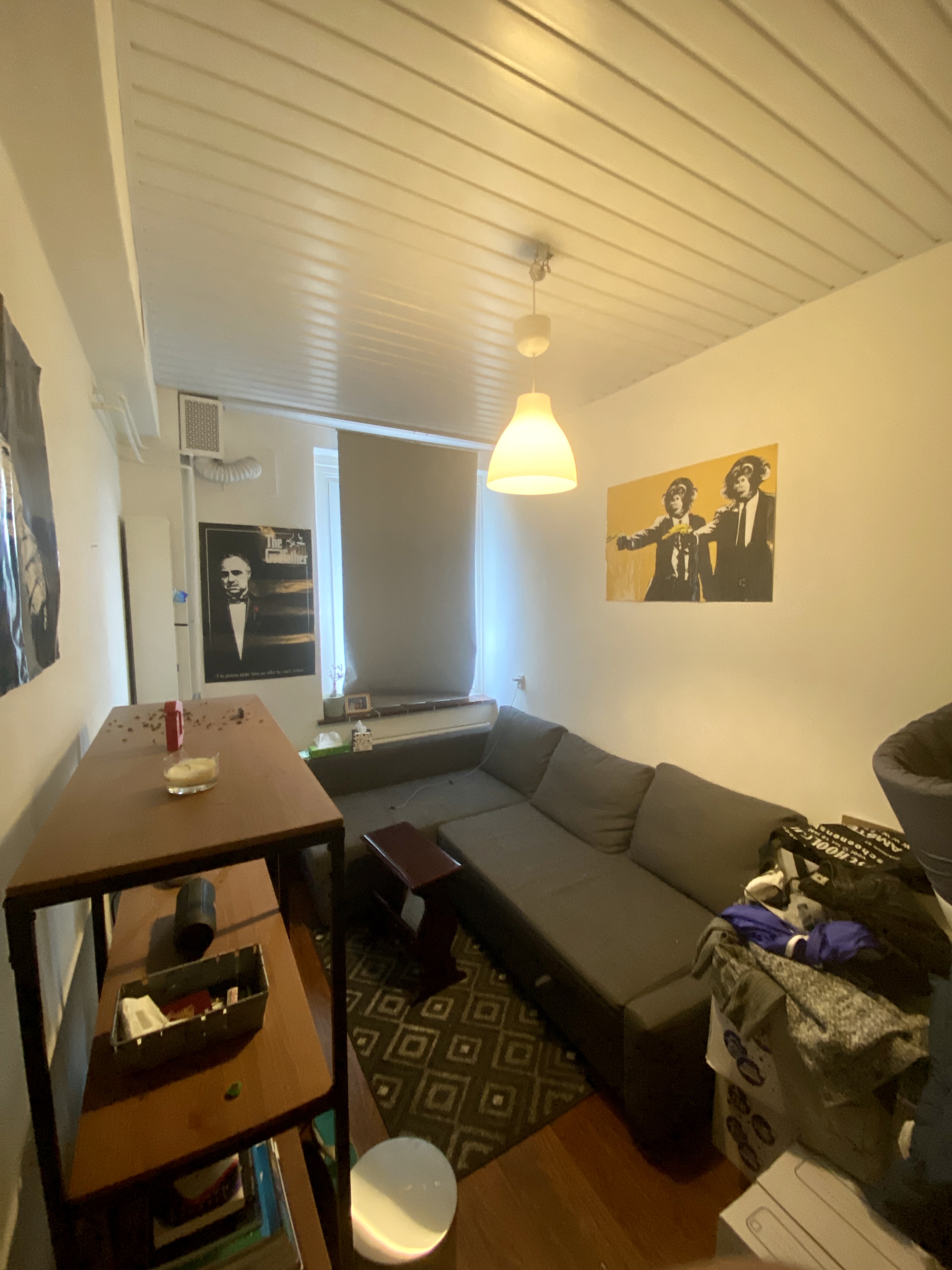 Cozy Private Room in Amsterdam West
