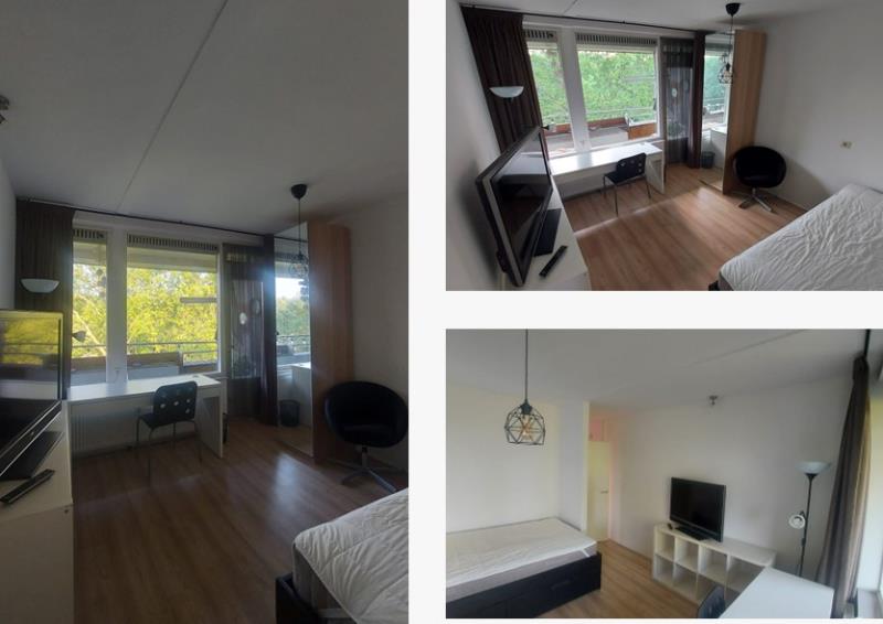 Charming Room near Kralingse Bos - Edmond Hellenraadstraat 105