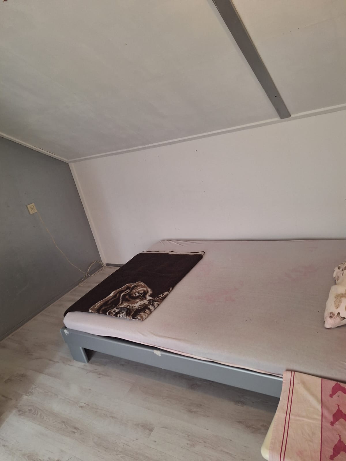 Ruime Zolderkamer te Huur