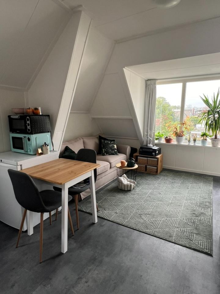 Mooie kamer met ruim uitzicht met ruim dakkapel