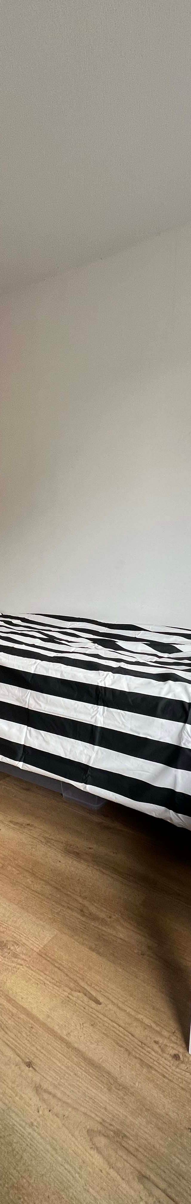 Student room - Lodewijk Pincoffsweg 291