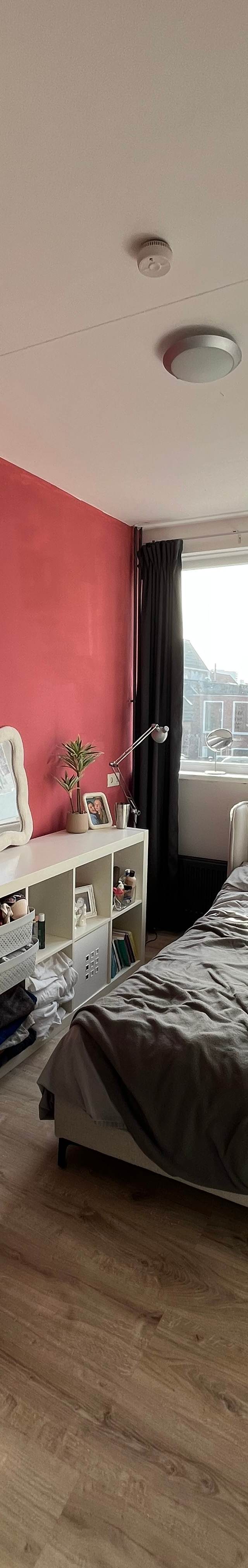 Huisgenootje gezocht