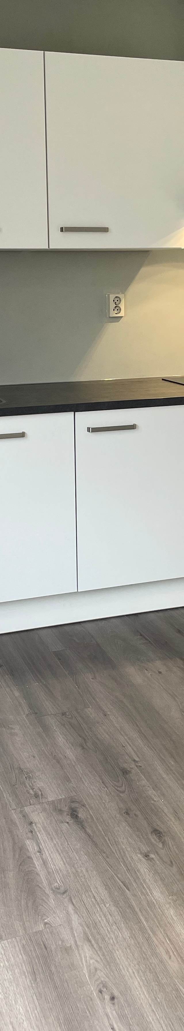 Gerenoveerde studio met gloednieuwe eigen keuken
