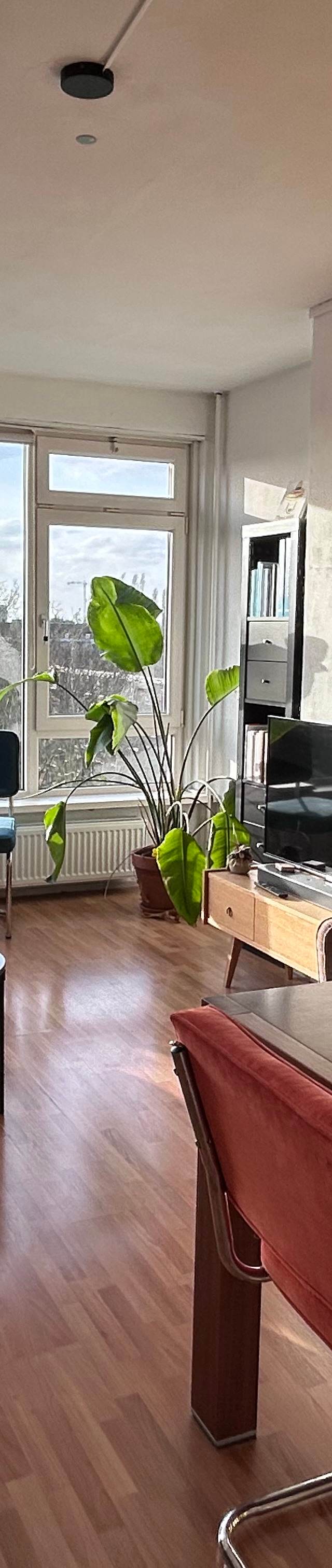 Huisgenoot gezocht | Vrouw | 25+