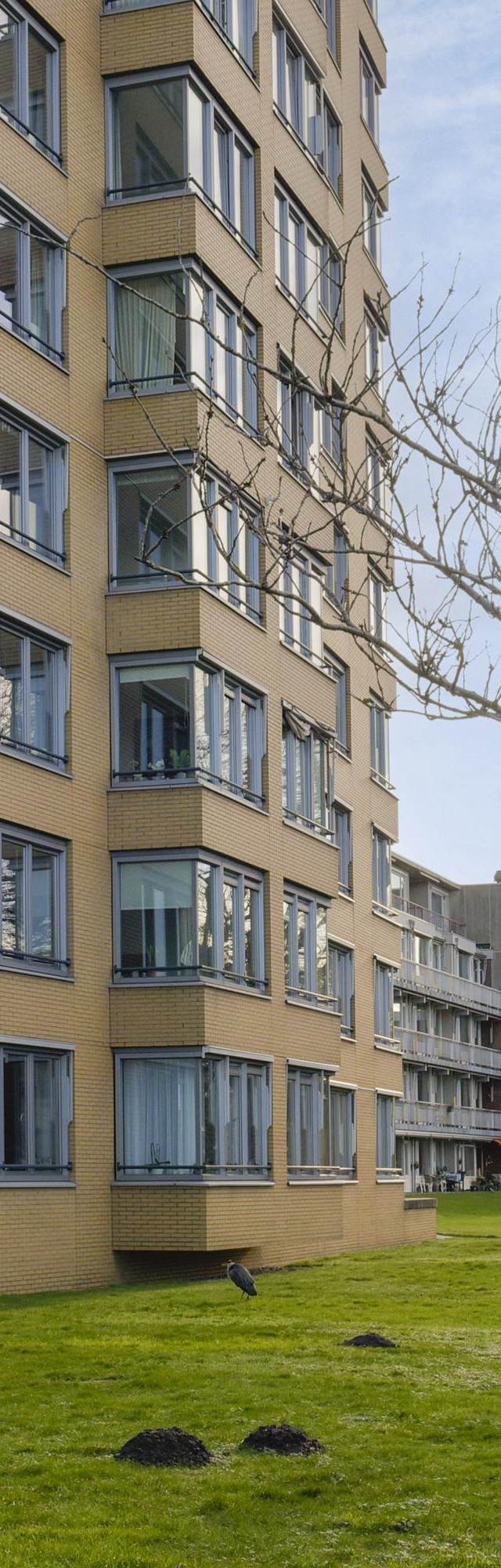 Loosduinse Uitleg, Den Haag