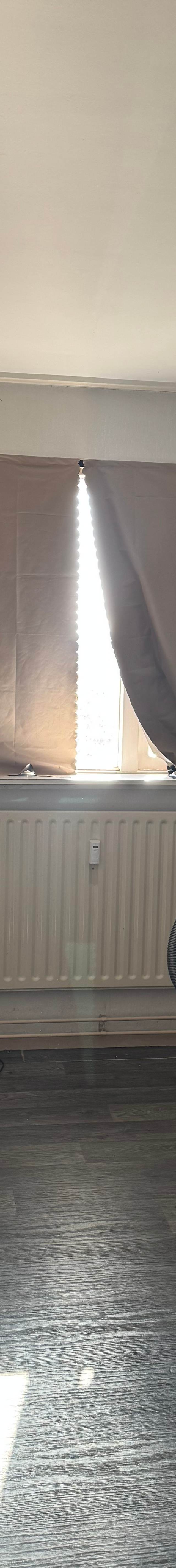 Looking for a housemate